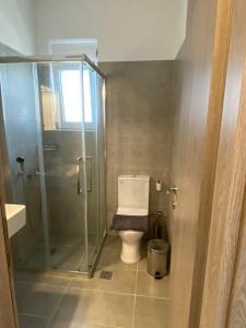 a bathroom with a toilet and a glass shower at Anastasia Karystos in Karistos +36 photos
