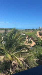 an aerial view of a palm tree in a field at Kitinet in Marataizes