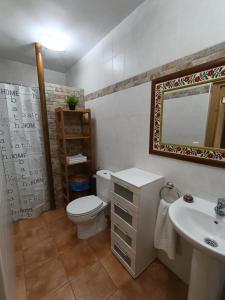 a bathroom with a toilet and a sink and a mirror at Casa Rural Javier in Valmuel