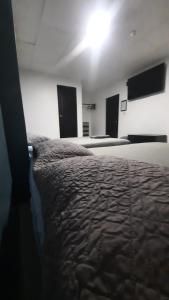 a bedroom with two beds and two windows at Hotel confort in Guayaquil