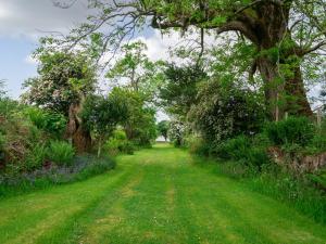 a path through a field with trees and grass at Coachman's Bothy - Ukc5958 in Port Appin
