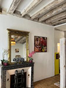 a living room with a fireplace and a mirror at Les Petites Mirabelles - À 9mn du ZooParc de Beauval - Gare à 200m - Route des Châteaux de la Loire in Noyers-sur-Cher