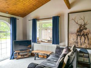 a living room with a couch and a tv at The Curious Stag in Rothbury