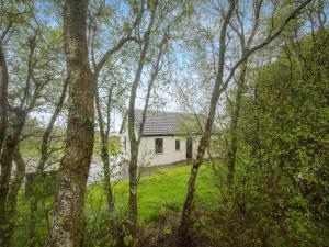 a white house is seen through the trees at Cruinn in Taynish