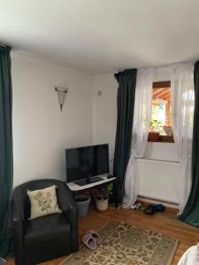 a living room with a chair and a television at Viki house in Hurez +8 photos