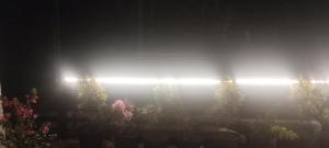 Gallery image of White Oasis Residence Vythiri 3 star in Padinjarathara
