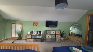 a living room with a tv on a green wall at Brady Accommodation in Monaghan +30 photos