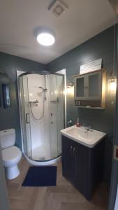 a bathroom with a shower and a toilet and a sink at Brady Accommodation in Monaghan