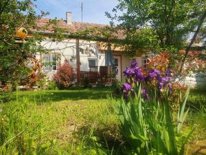 a garden with purple flowers in front of a house at Porta in Bálványos
