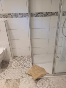 a bathroom with a shower and a toilet at Salinenappartement in Bad Kreuznach +4 photos