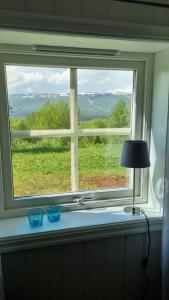 a window with two blue bowls on a table with a lamp at Leilighet på Bekkeli, Beito. in Beitostøl
