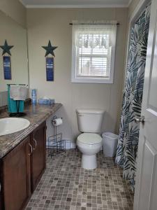 a bathroom with a toilet and a sink at Crimson Sky Cottage in Twillingate
