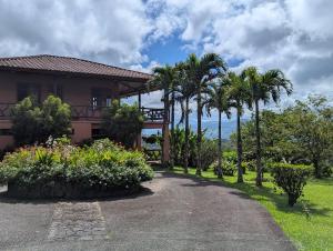 a house with palm trees next to a driveway at Villa Siempre Aventura in Nuevo Arenal