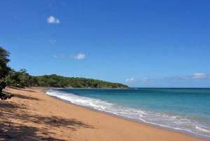 a sandy beach with the ocean and trees at Maison Dousè in Sainte-Rose