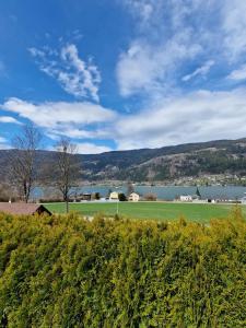 a green field with a lake and mountains in the background at Ferienwohnung Claudia Alt-Ossiach in Altossiach