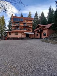 a large house with a large driveway in front of it at Perla Sarisorului in Sărişor