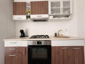 a kitchen with a stove and a sink at Jupiter Suite #6people in Ştefăneştii de Sus