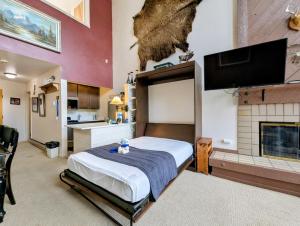 a bedroom with a bed and a flat screen tv at Edgewater 1448 by SummitCove Lodging in Colorado in Keystone