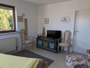 a bedroom with a bed and a tv and two chairs at Pension Eltmann in Eltmann
