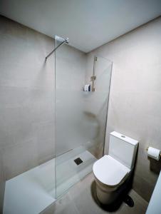 a bathroom with a toilet and a shower at Alojamiento La Ballena in Santoña