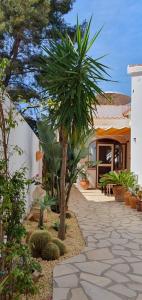 a palm tree in the middle of a walkway at Casa el Montcel, a unique chalet with roofterrace and shared pool in Denia