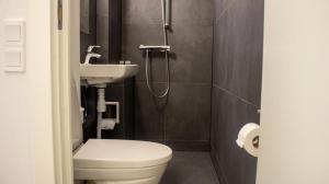 a bathroom with a toilet and a sink and a shower at City Apartment - Perfect for two in Tåstrup