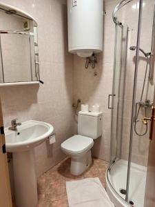 a bathroom with a toilet and a sink and a shower at Guest House Park Žibert in Ljubljana +15 photos