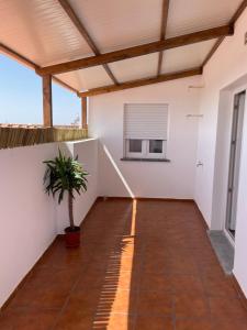 a room with a potted plant in the middle at Alojamento A Cascata in Vidigueira