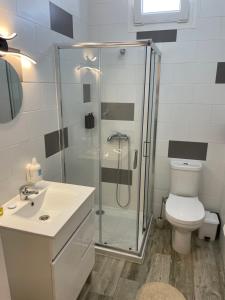 a bathroom with a shower and a toilet and a sink at Alojamento A Cascata in Vidigueira