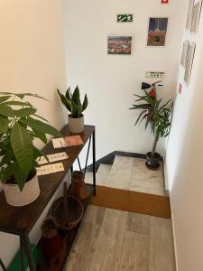 a room with potted plants on the floor and a table at Alojamento A Cascata in Vidigueira