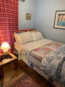 a bedroom with a bed and a table with a lamp at Spry Church Cozy Cottage in Lion's Head
