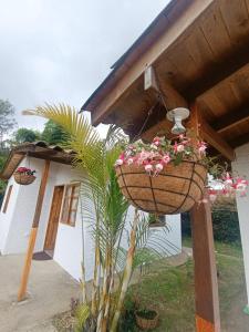 a house with a plant and a basket of flowers at Villa Belén in Guarne