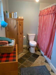 a bathroom with a toilet and a shower curtain at Spry Church Cozy Cottage in Lion's Head