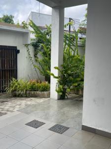 a courtyard of a house with plants at Colombo Residency -Pent House in Kotuwegoda