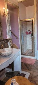 a bathroom with a sink and a shower at Château St Sulpice Chambre Porcelaine in Condal