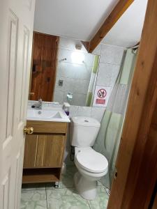 ein kleines Badezimmer mit Toilette und Waschbecken in der Unterkunft cabañas arca in Pucón