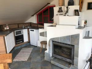 a kitchen with a fireplace in the middle of a room at Appartement Blickfang in Bruck an der Mur +8 photos