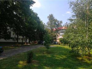 a yard with trees and a building in the background at AchiDav 133 in Onești