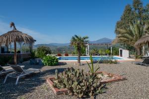 a resort with a pool and a chair and palm trees at Finca Feliz Andaluz in Alora