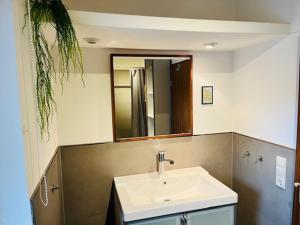 a bathroom with a sink and a mirror at Gemütliche Ferienwohnung zwischen Europa-Park und Schwarzwald in Lahr +16 photos