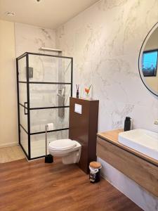 a bathroom with a toilet and a sink and a mirror at Snow&Rose in Damme +36 photos