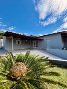 a palm tree in front of a house at Chacara Souza in Socorro