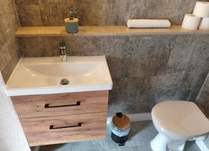 a bathroom with a sink and a toilet at Lahnzauber Obernhof in Obernhof +24 photos