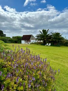 a house in a field with purple flowers at Lobo do Mar in Ponta Garça +21 photos