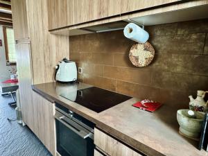 a kitchen with a sink and a toaster on the wall at Charmantes Rustico La Vedetta mit Terrasse in Minusio