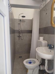 a bathroom with a toilet and a sink at Mejdan II in Mostar