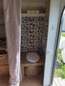 a bathroom with a toilet inside of a camper at Caravane cocooning in Saint-Martin-des-Noyers