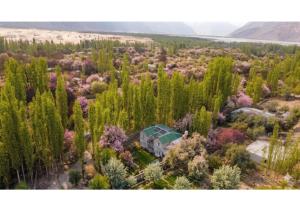 an aerial view of a house in a forest of trees at Rus Olive Lodge Skardu in Skardu +11 photos