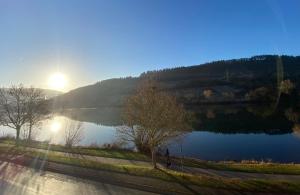 a person walking on a path next to a lake at Zur Klapperburg in Zell an der Mosel +36 photos