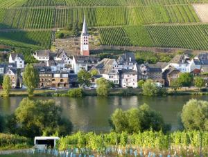 a town next to a river with a church at Zur Klapperburg in Zell an der Mosel